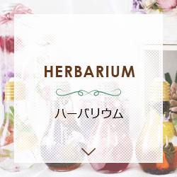 ハーバリウム HERBARIUM